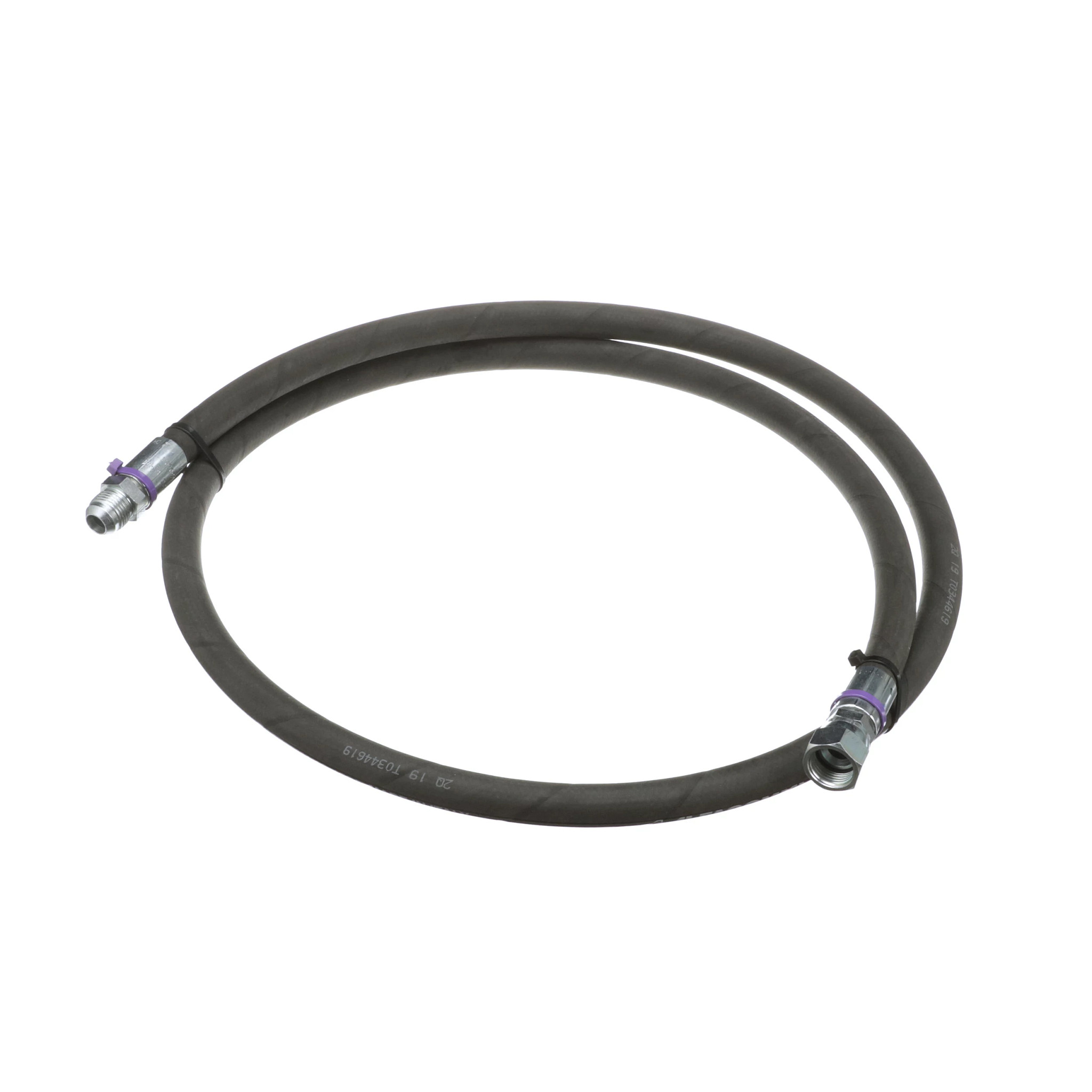 MANGUEIRA CONJUNTO | CASECE | BR | PT