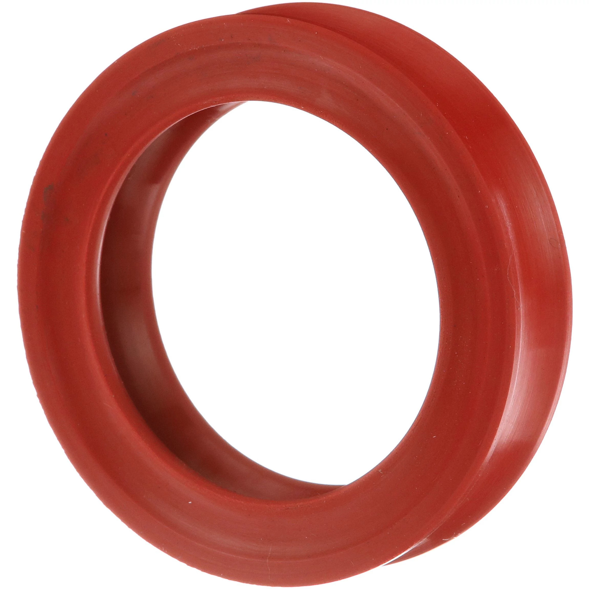 Oil Seal | CASECE | CA | EN
