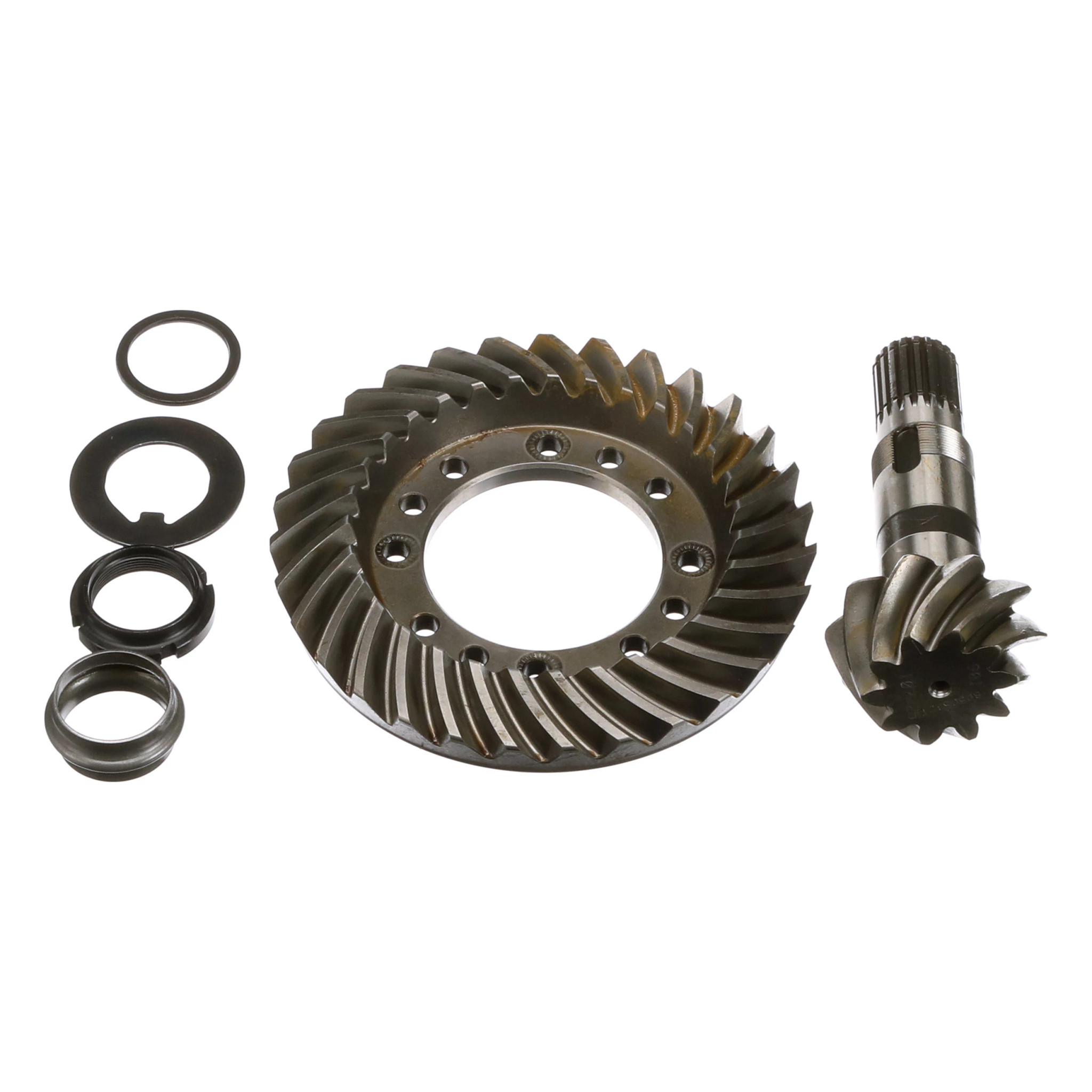 PIGNON CONIQUE | NEWHOLLANDAG | CA | EN