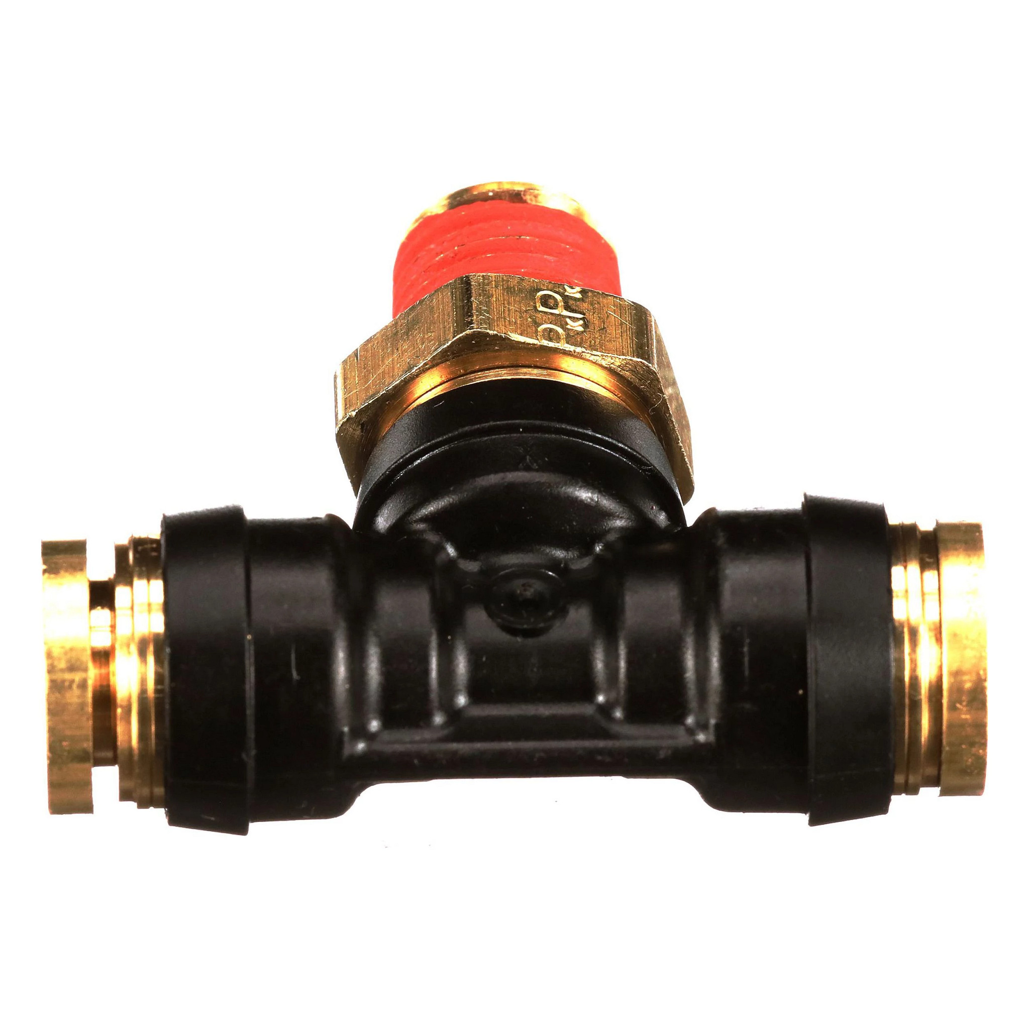 BRANCH TEE | CASECE | CA | EN