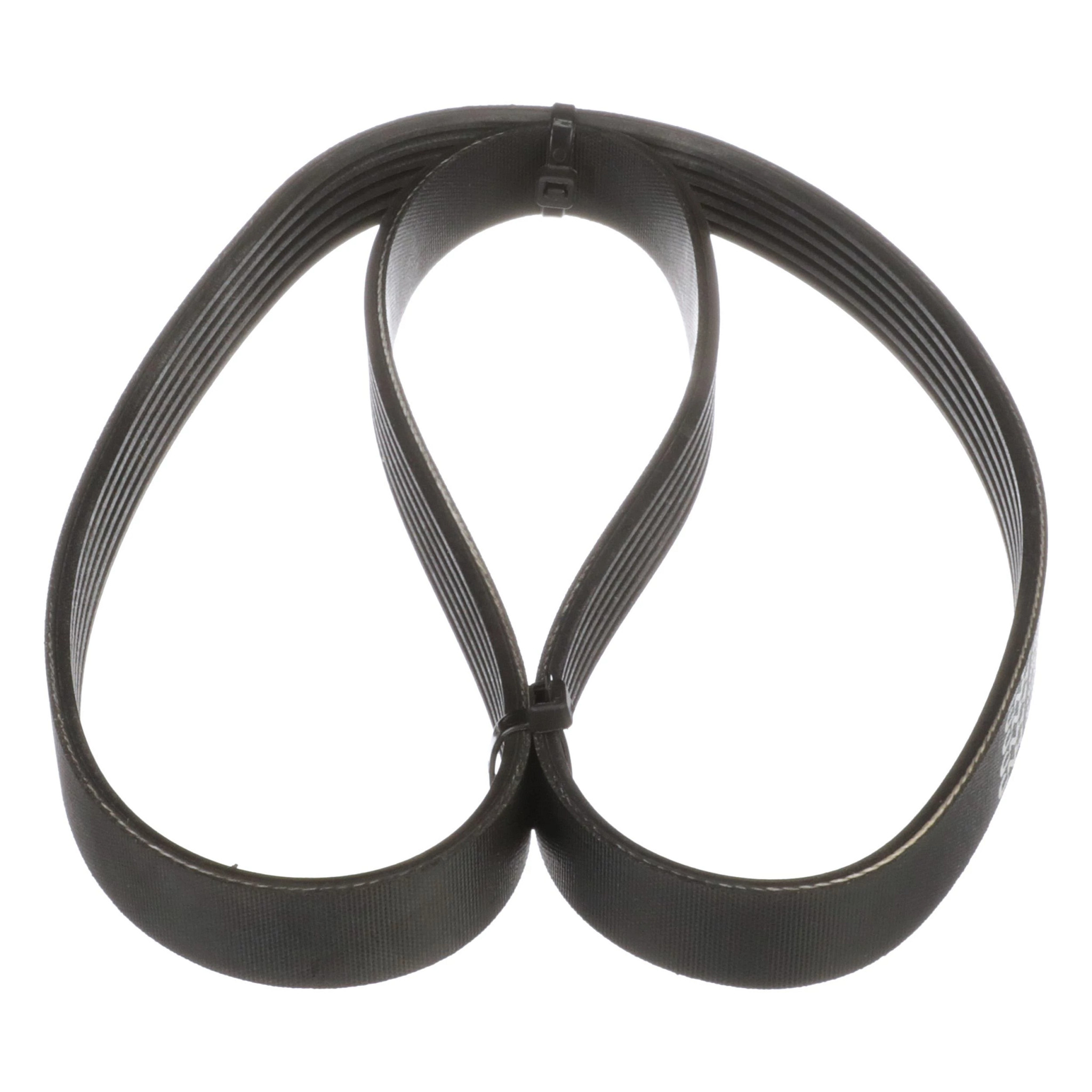 BELT | CASECE | EU | EN