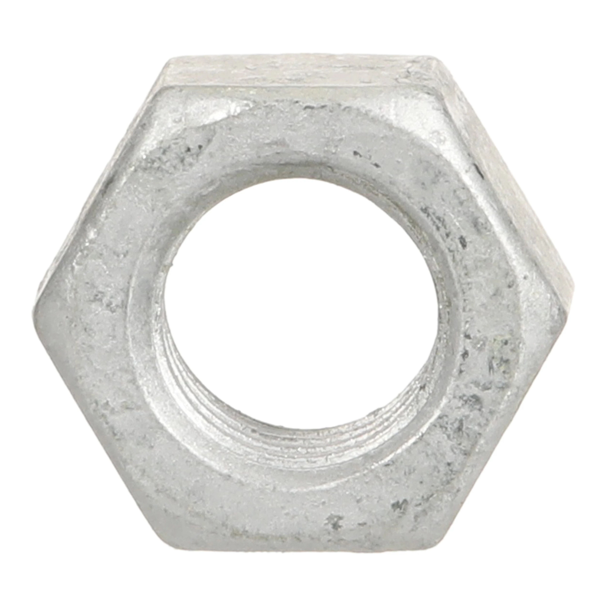 NUT | NEWHOLLANDAG | NZ | EN