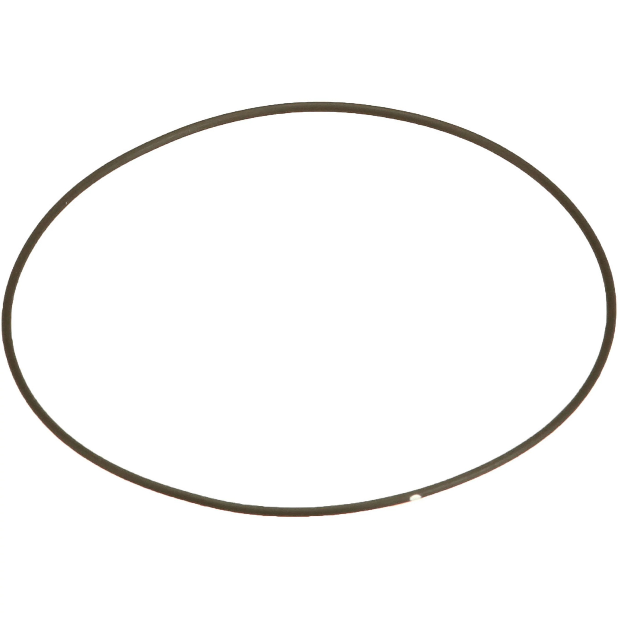 O-RING | CASEIH | CA | EN