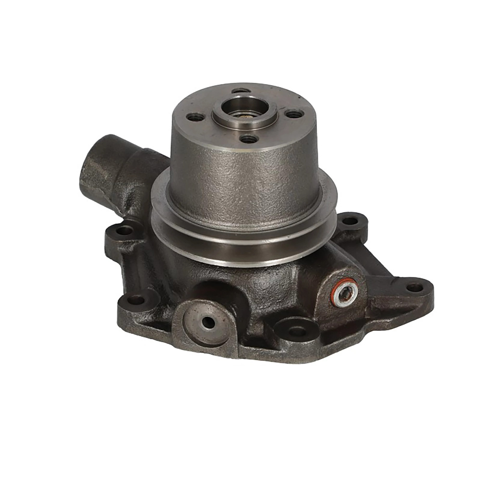Water Pump with Pulley | CASEIH | US | EN