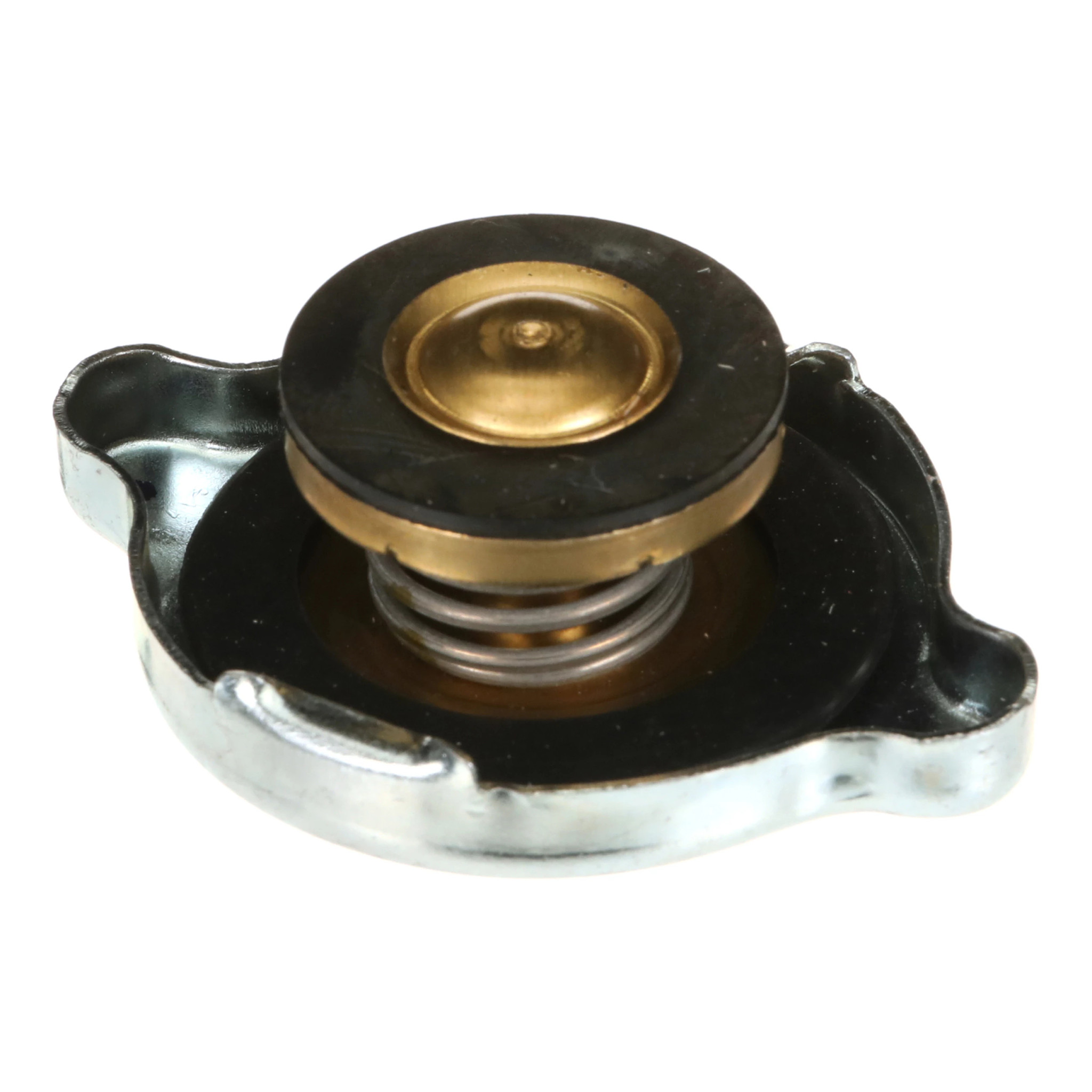 PLUG | CASECE | CA | EN