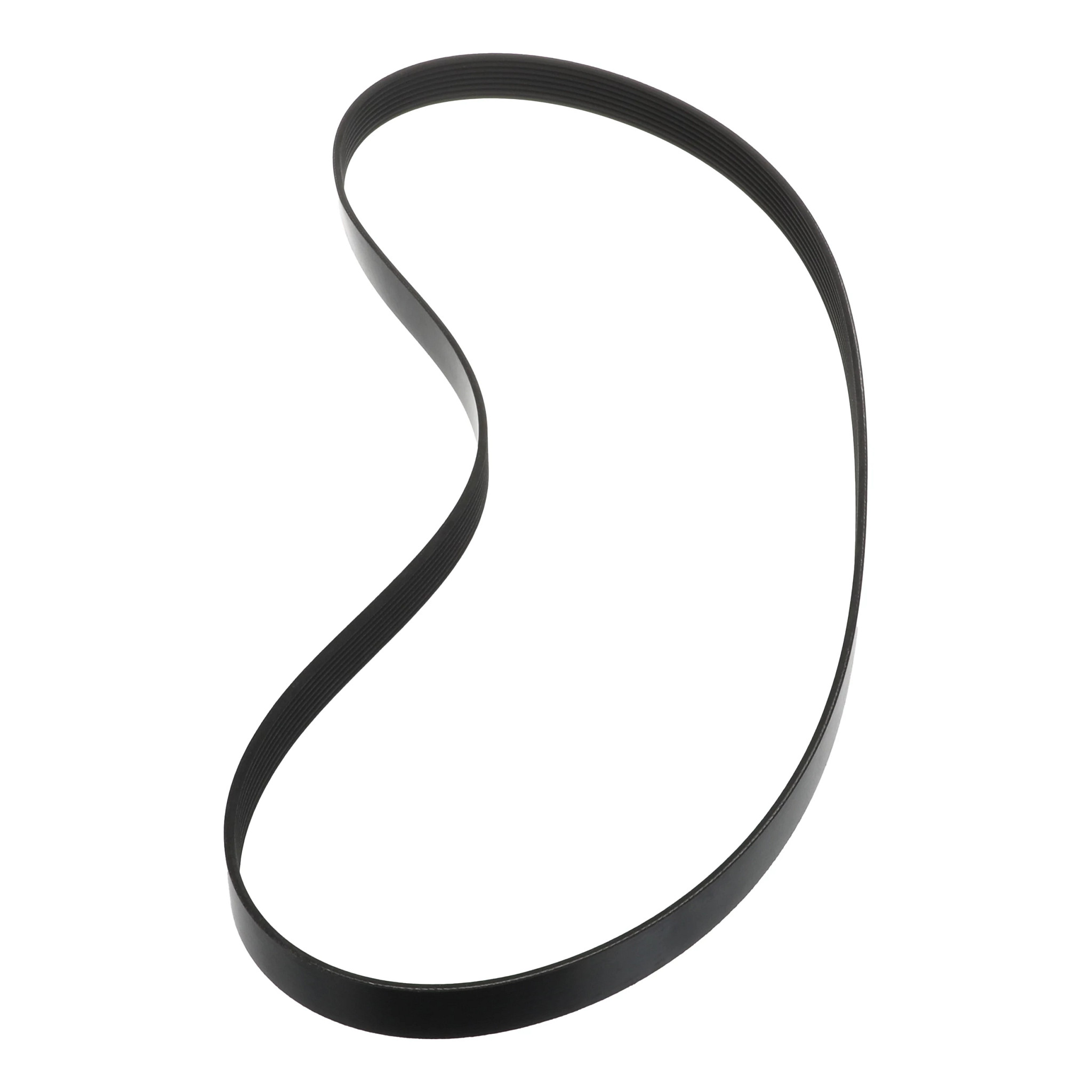 BELT | CASECE | US | EN