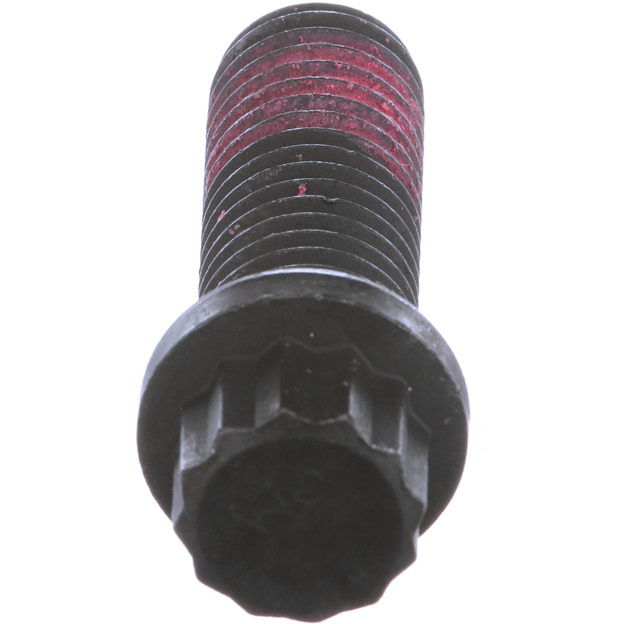 BULLONE | CASECE | EU | IT