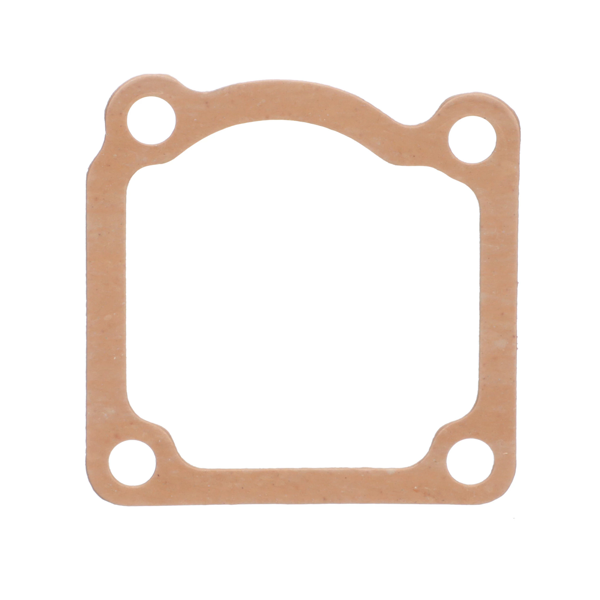 GASKET | CASEIH | AMEA | EN