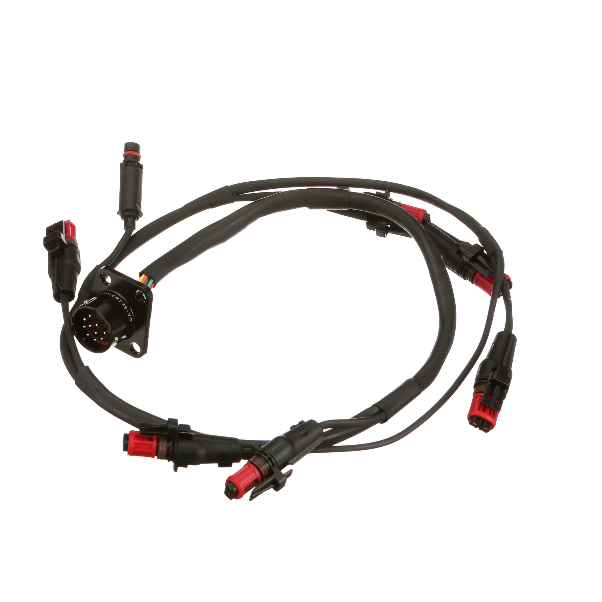 Chicote do fio | CASECE | BR | PT