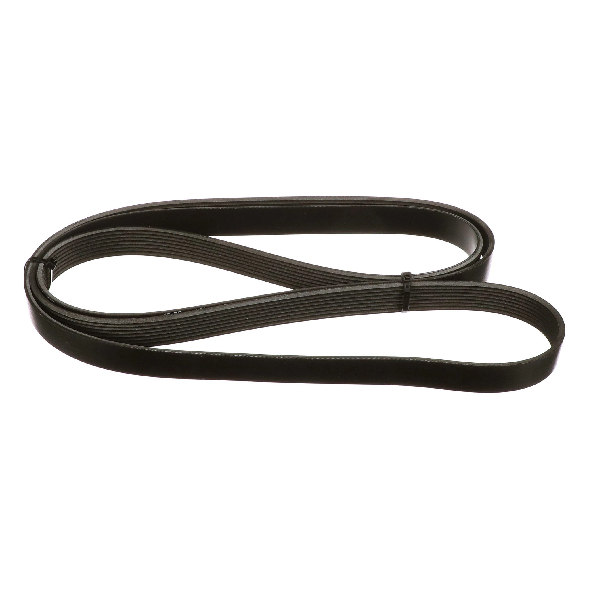 BELT | CASECE | US | EN