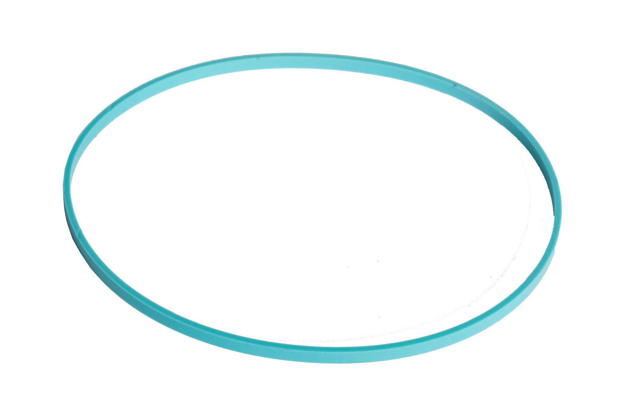 FÜHRUNGSRING | CASEIH | EU | DE