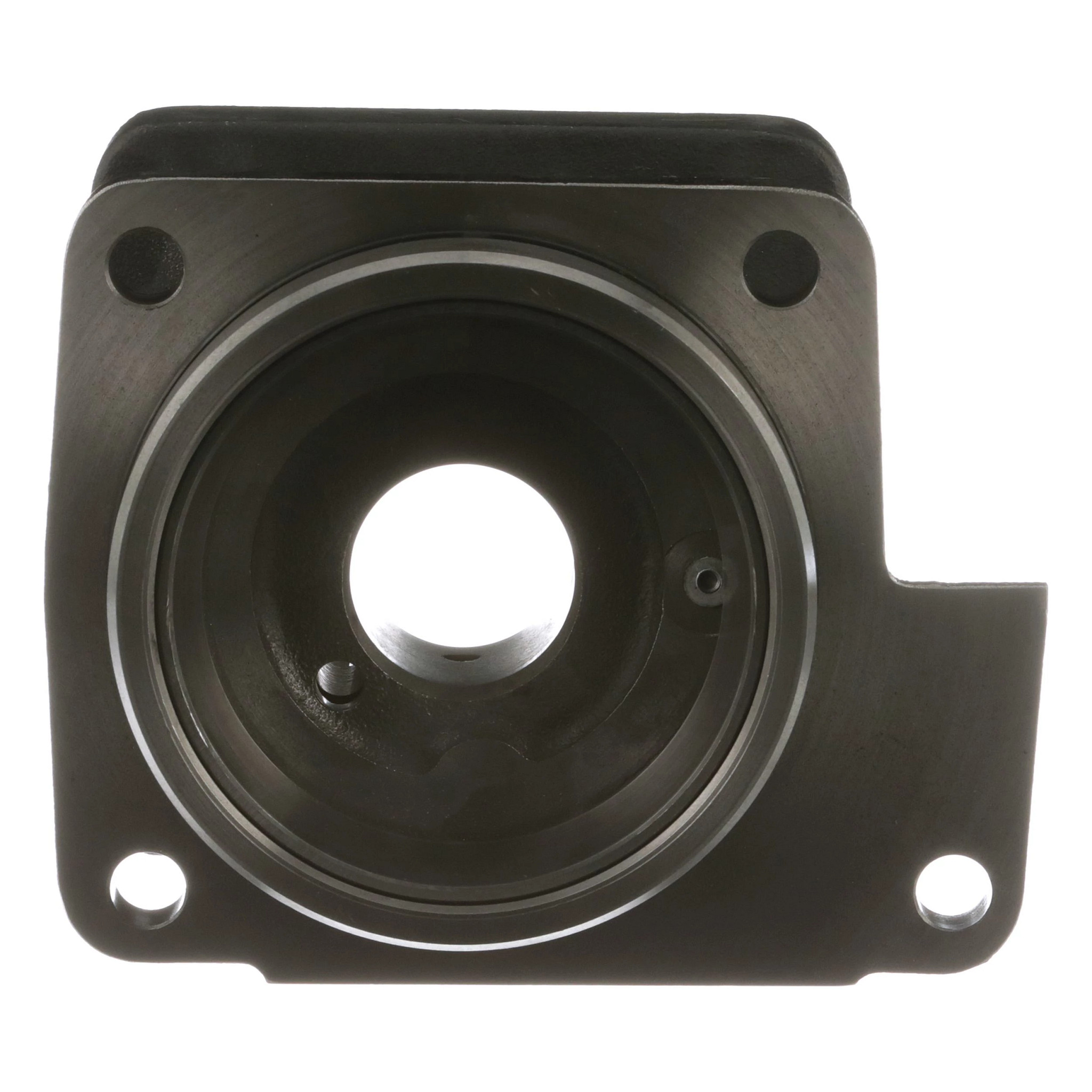 MANICOTTO DI PROTEZI | CASEIH | IT | IT