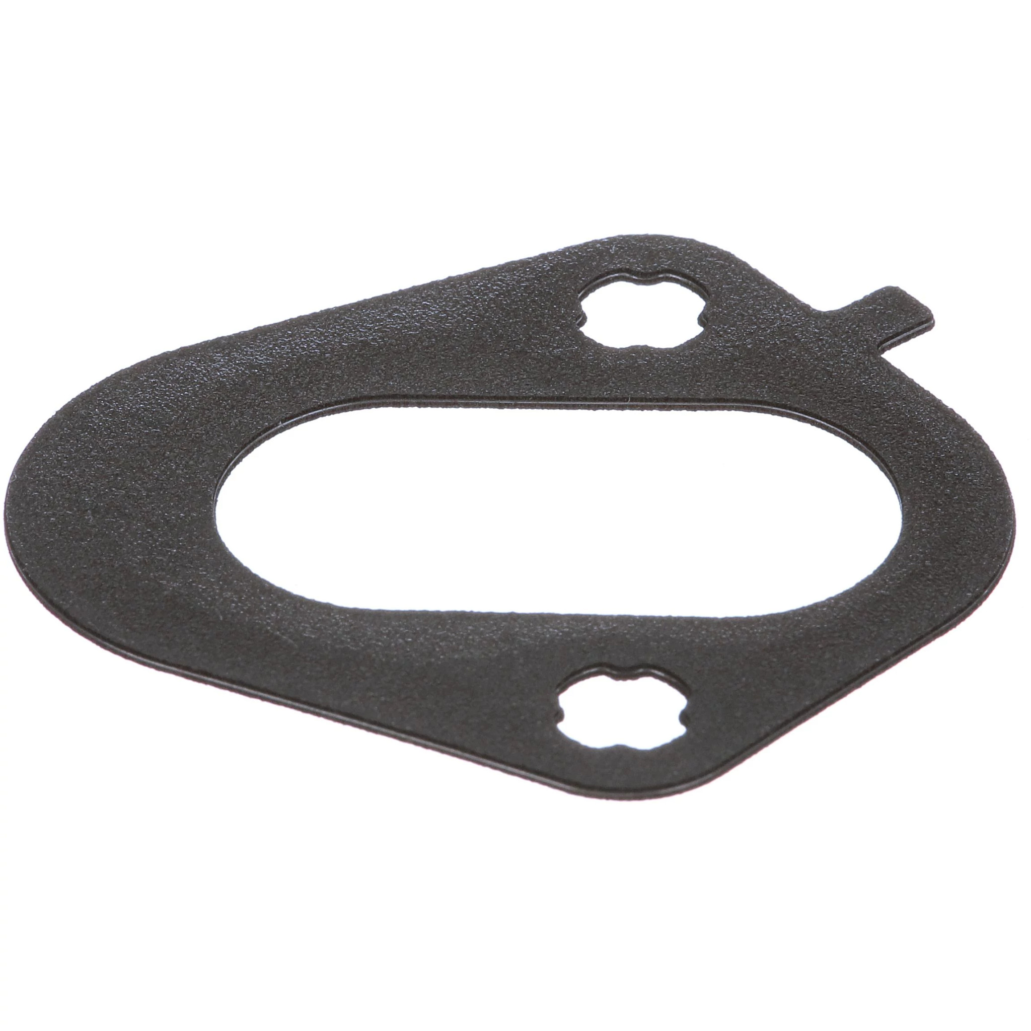 GASKET | CASECE | EU | EN