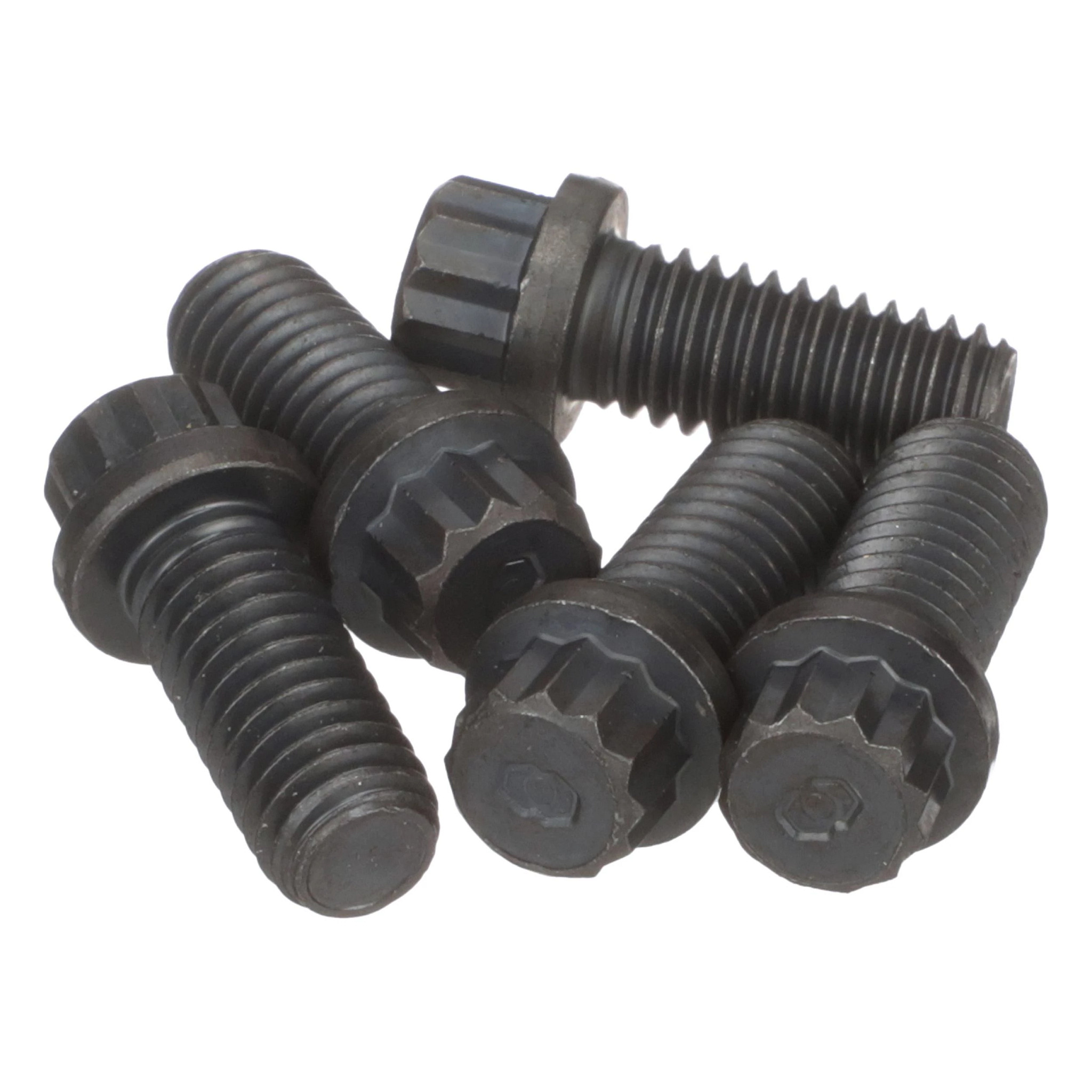12 PT SCREW | FLEXICOIL | US | EN