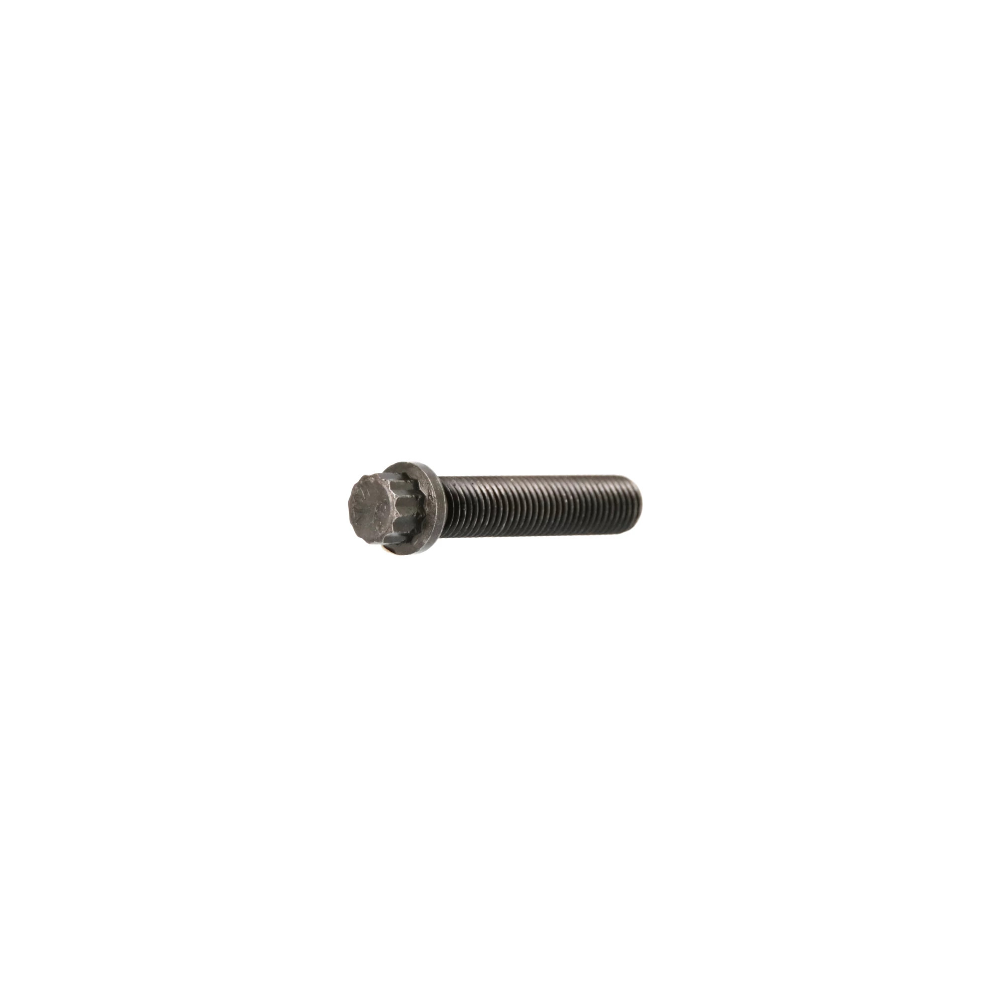 12 PT SCREW | CASEIH | US | EN