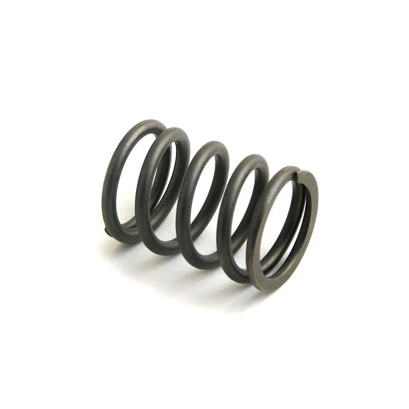 VALVE SPRING | NEWHOLLANDAG | CA | EN