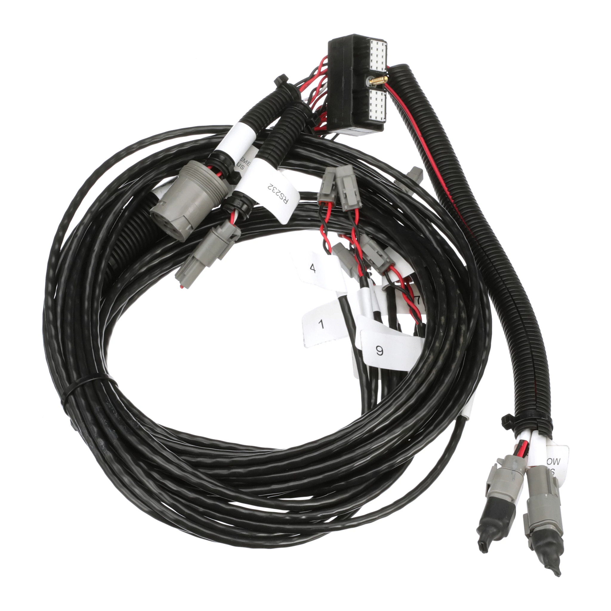 HARNESS | CASECE | EU | EN