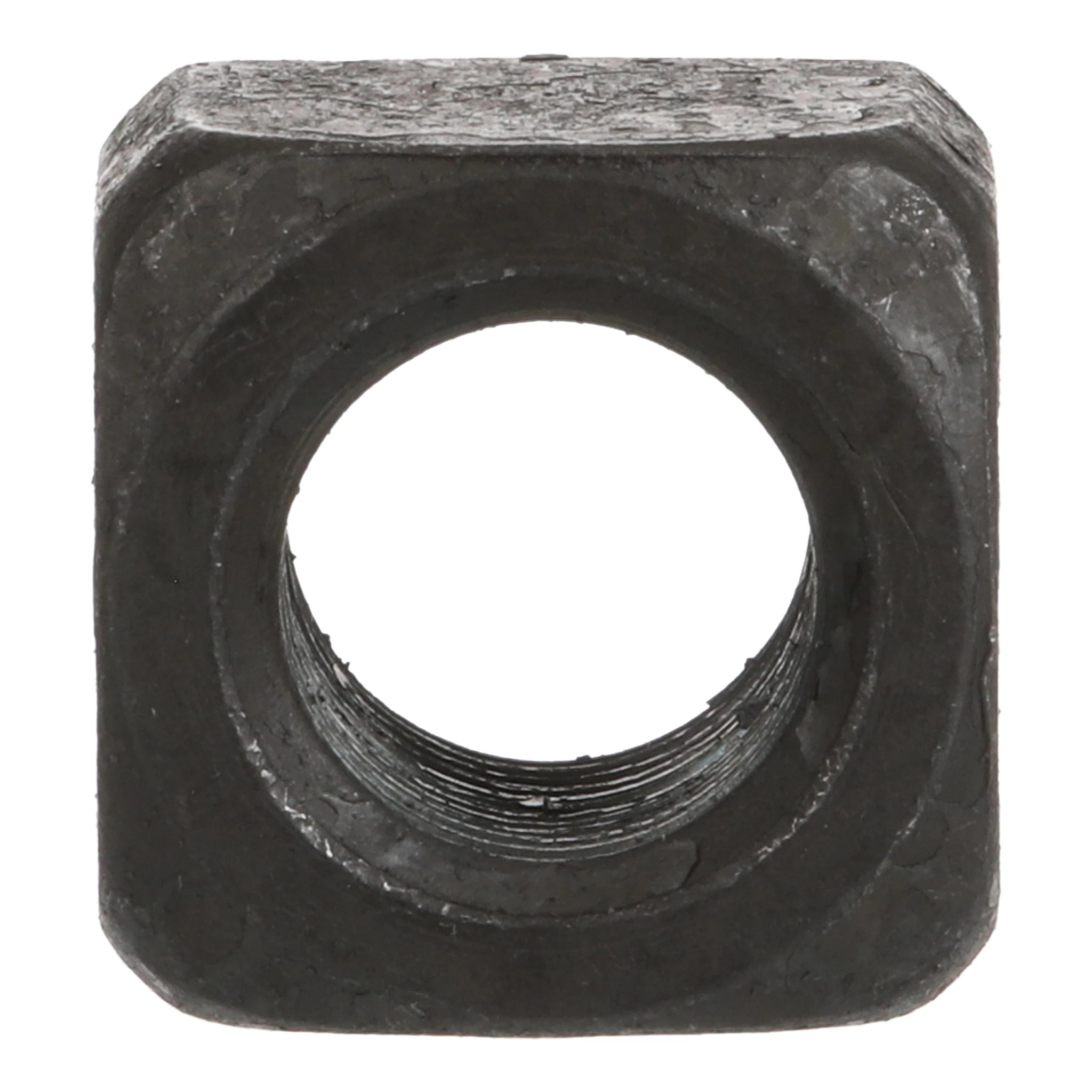 NUT | CASECE | CA | EN