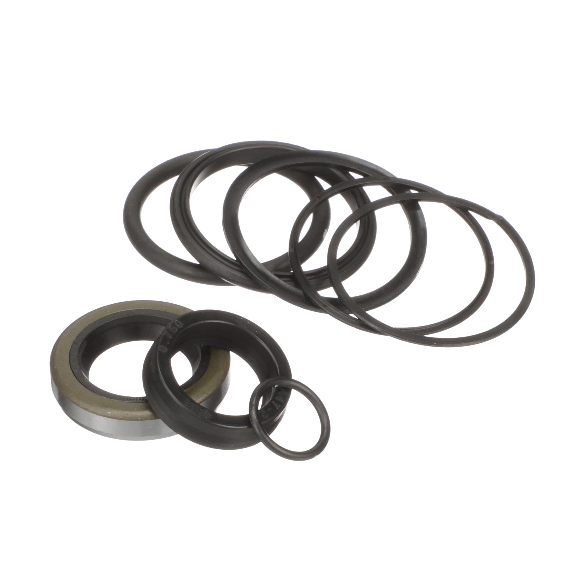 Kit de vedação do cilindro hidráulico | NEWHOLLANDAG | BR | PT