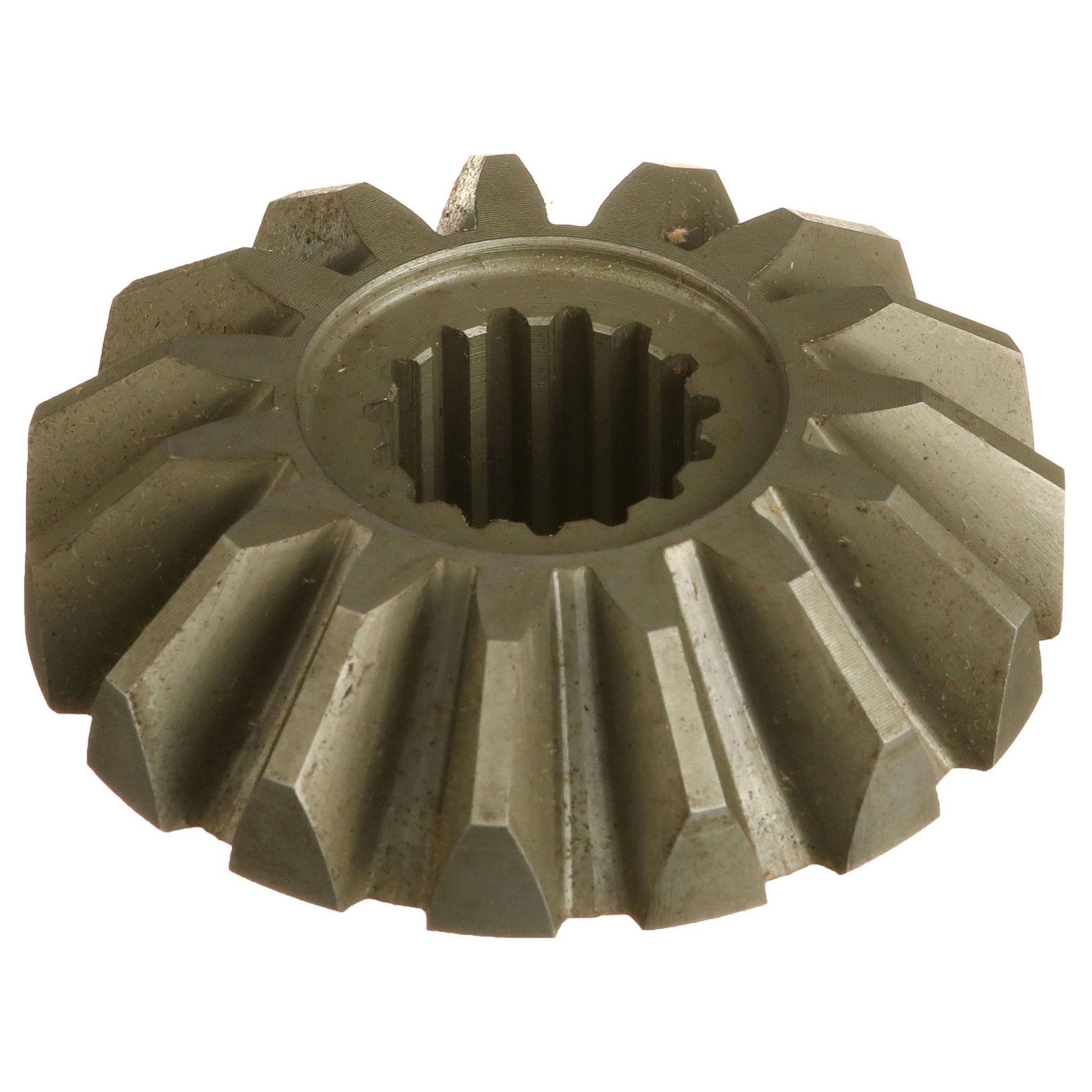 PIGNON CONIQUE | NEWHOLLANDAG | CA | FR