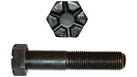 Hex Lock Bolt | CASEIH | CA | EN