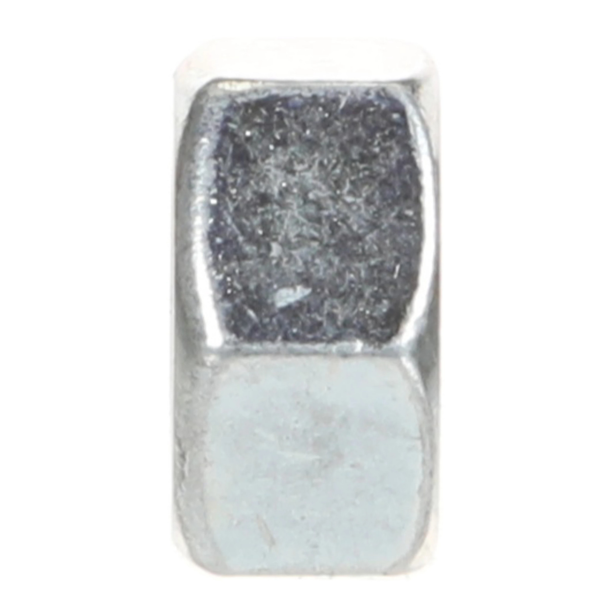 NUT | NEWHOLLANDAG | NZ | EN