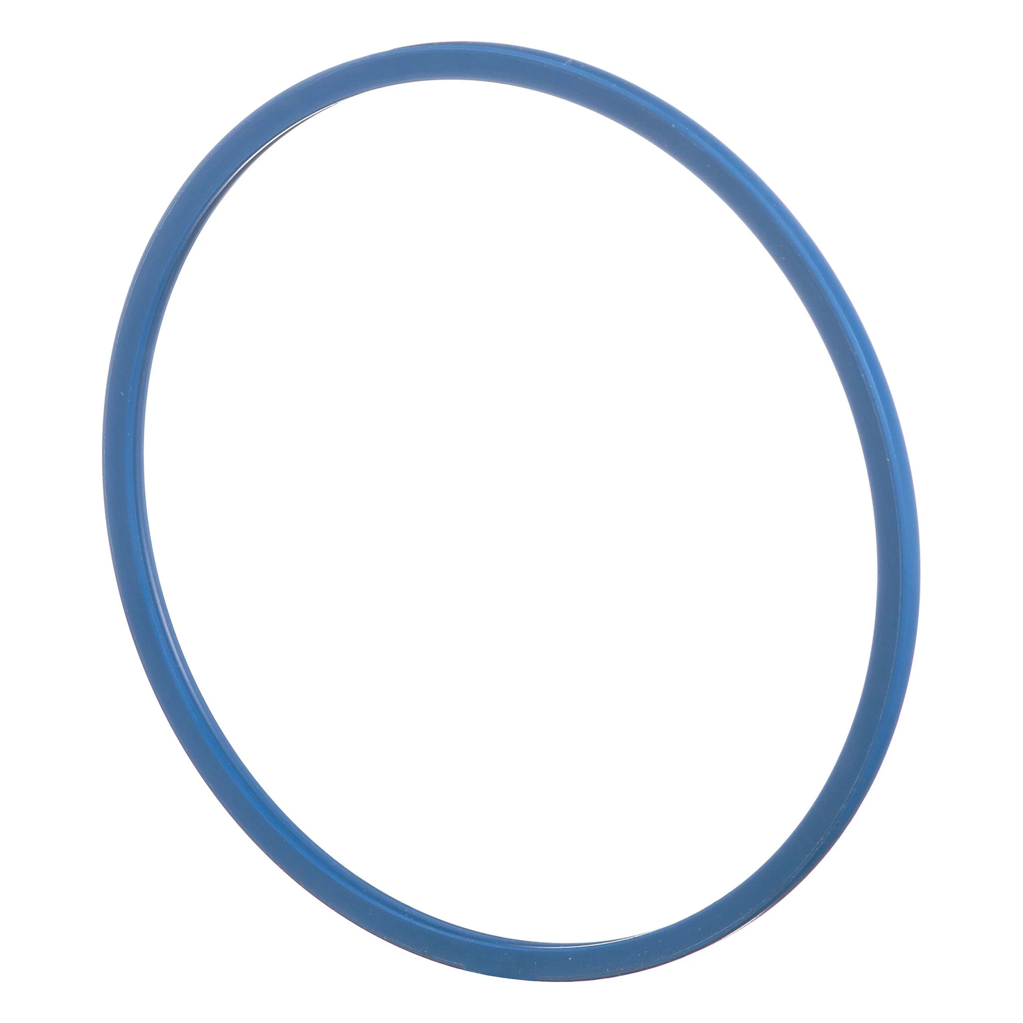 Sealing Ring | CASECE | CA | EN