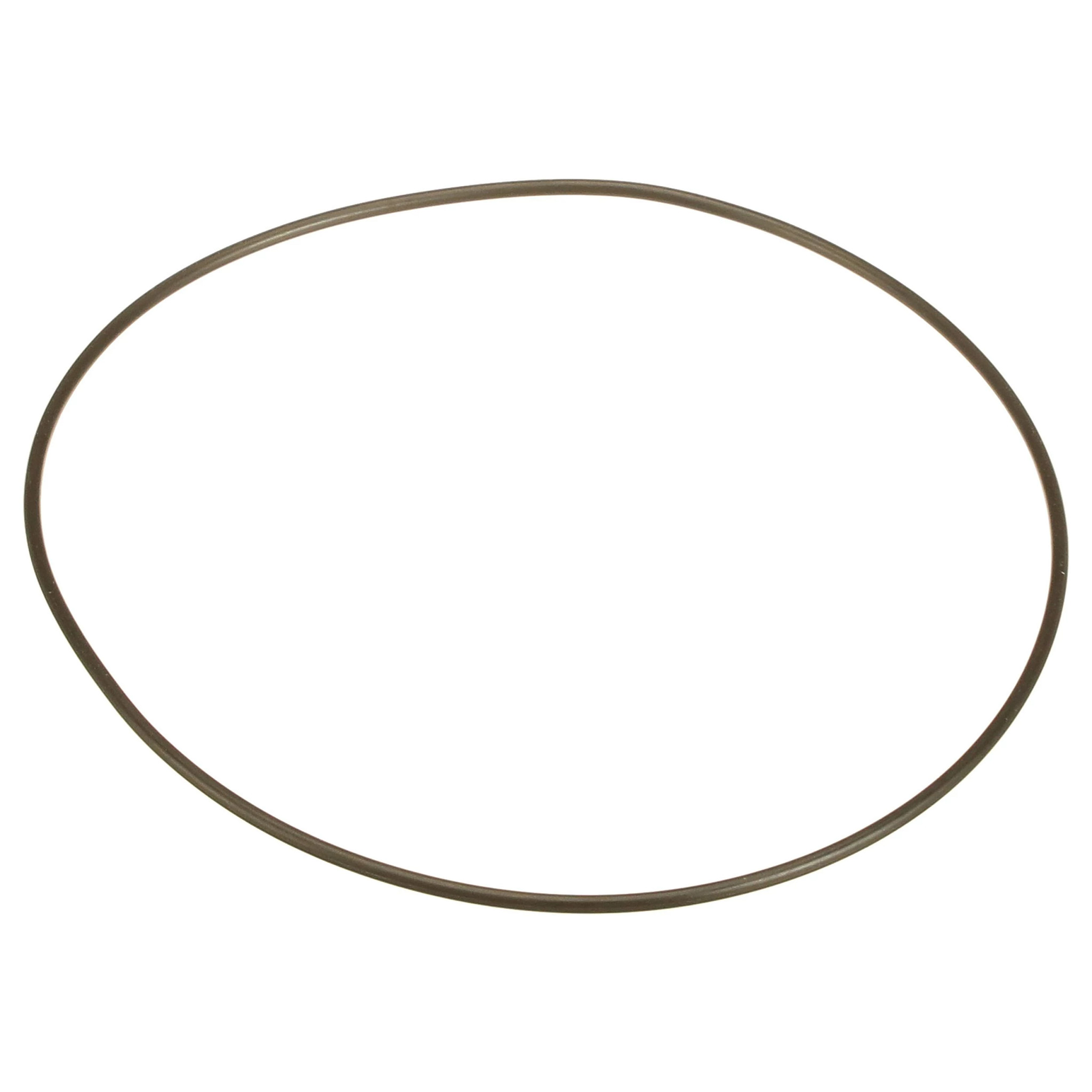 O-RING | NEWHOLLANDCE | EU | EN