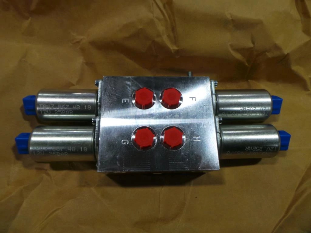 MANIFOLD VALVE | CASEIH | SA | EN