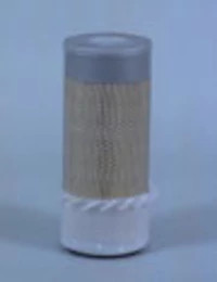 Filtre à air Fleetguard | CASEIH | CA | FR