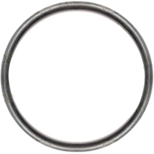 O-Ring - 95.25 mm L | CASECE | CA | EN