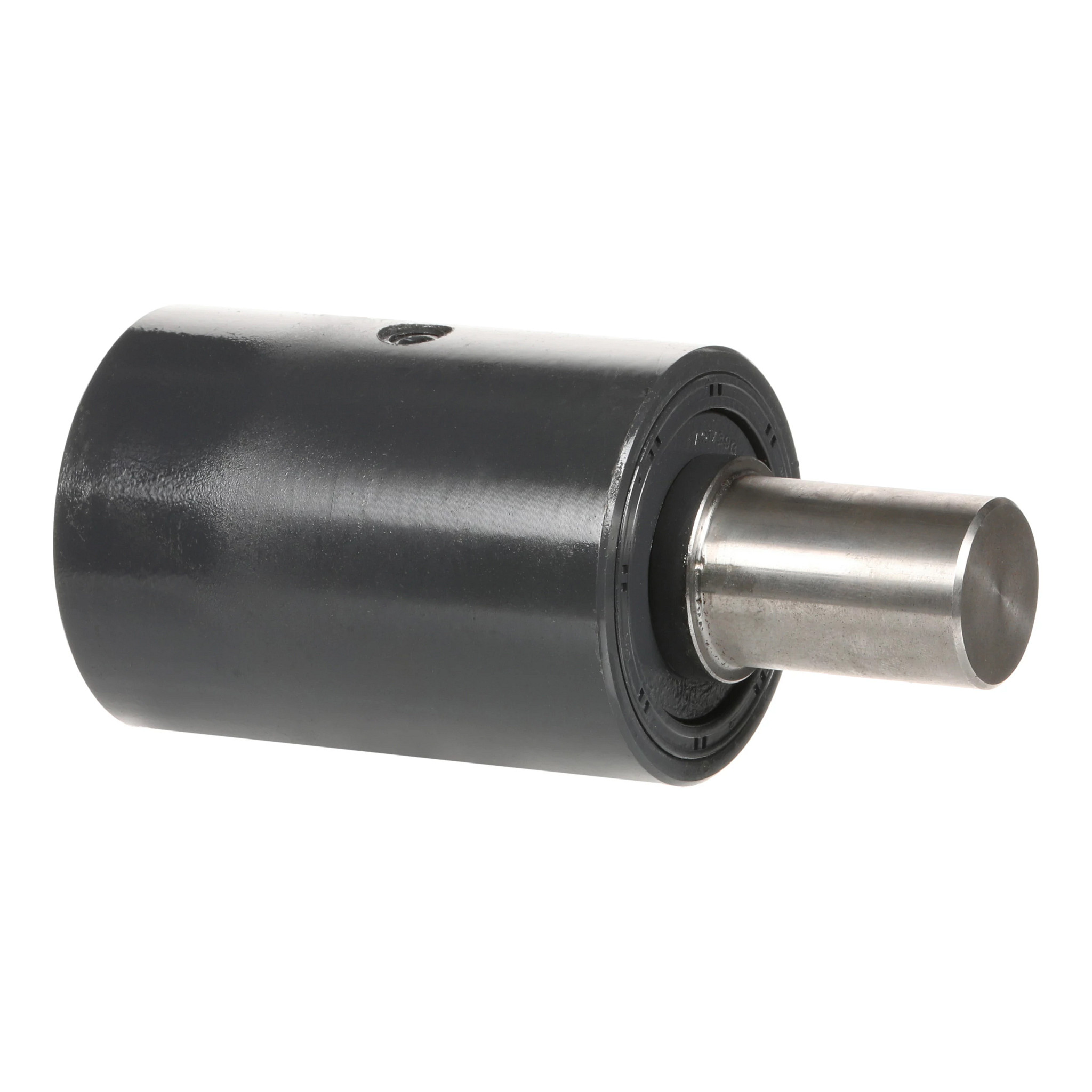 ROLLER | CASECE | AMEA | EN