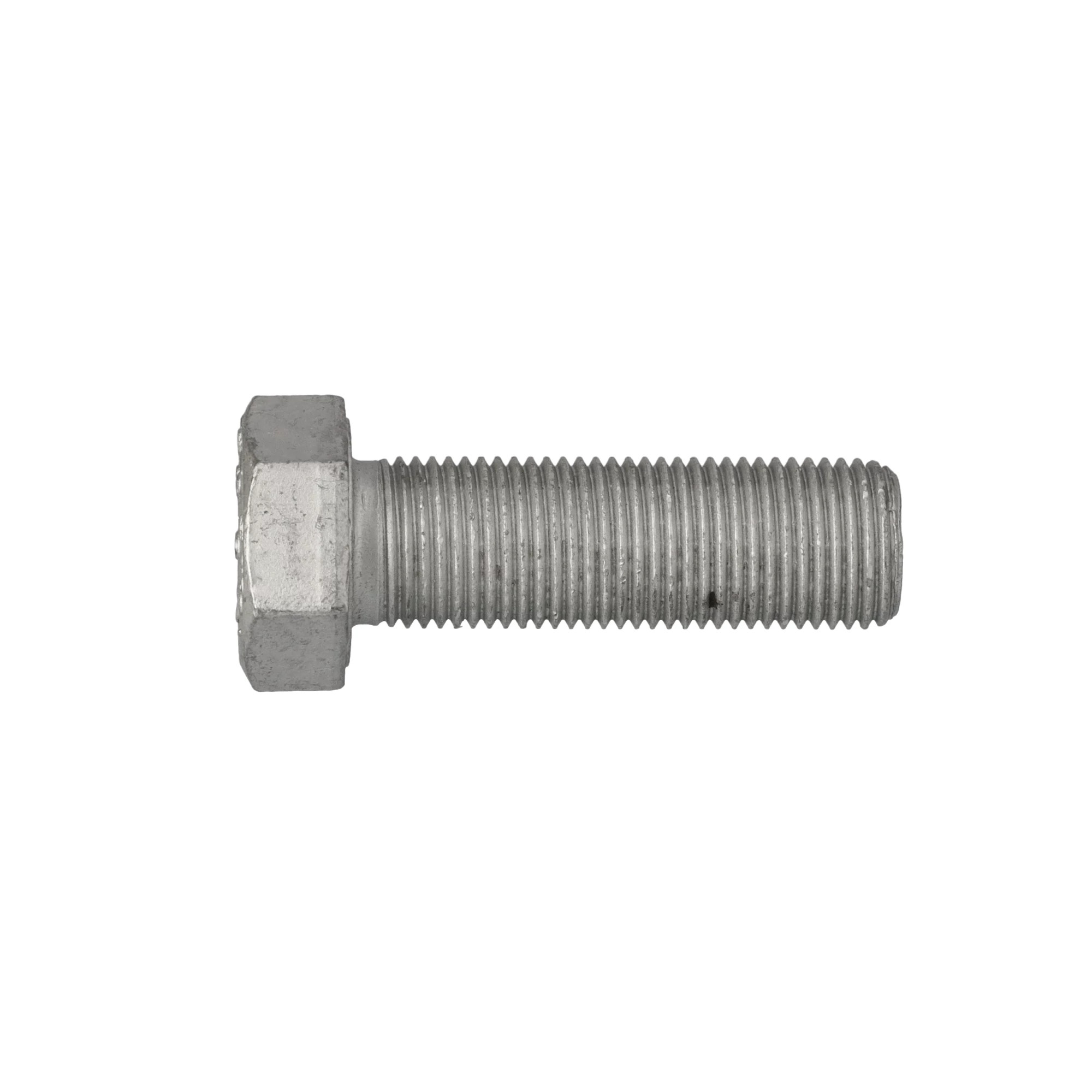 Parafuso | CASECE | BR | PT