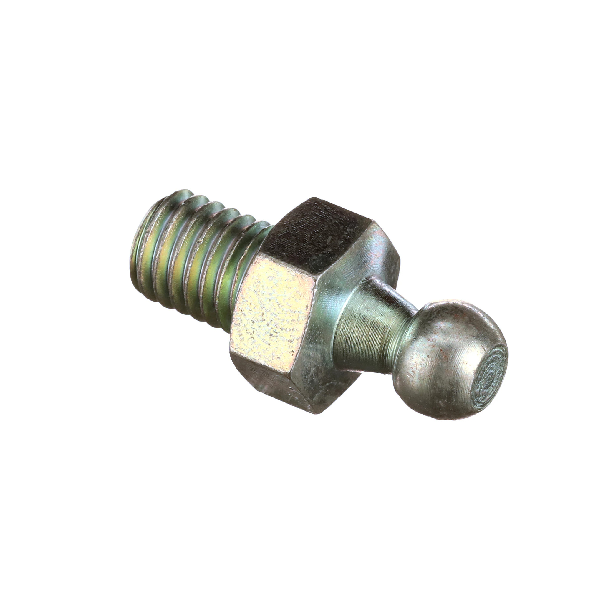 Pino Com Rotula | CASECE | BR | PT