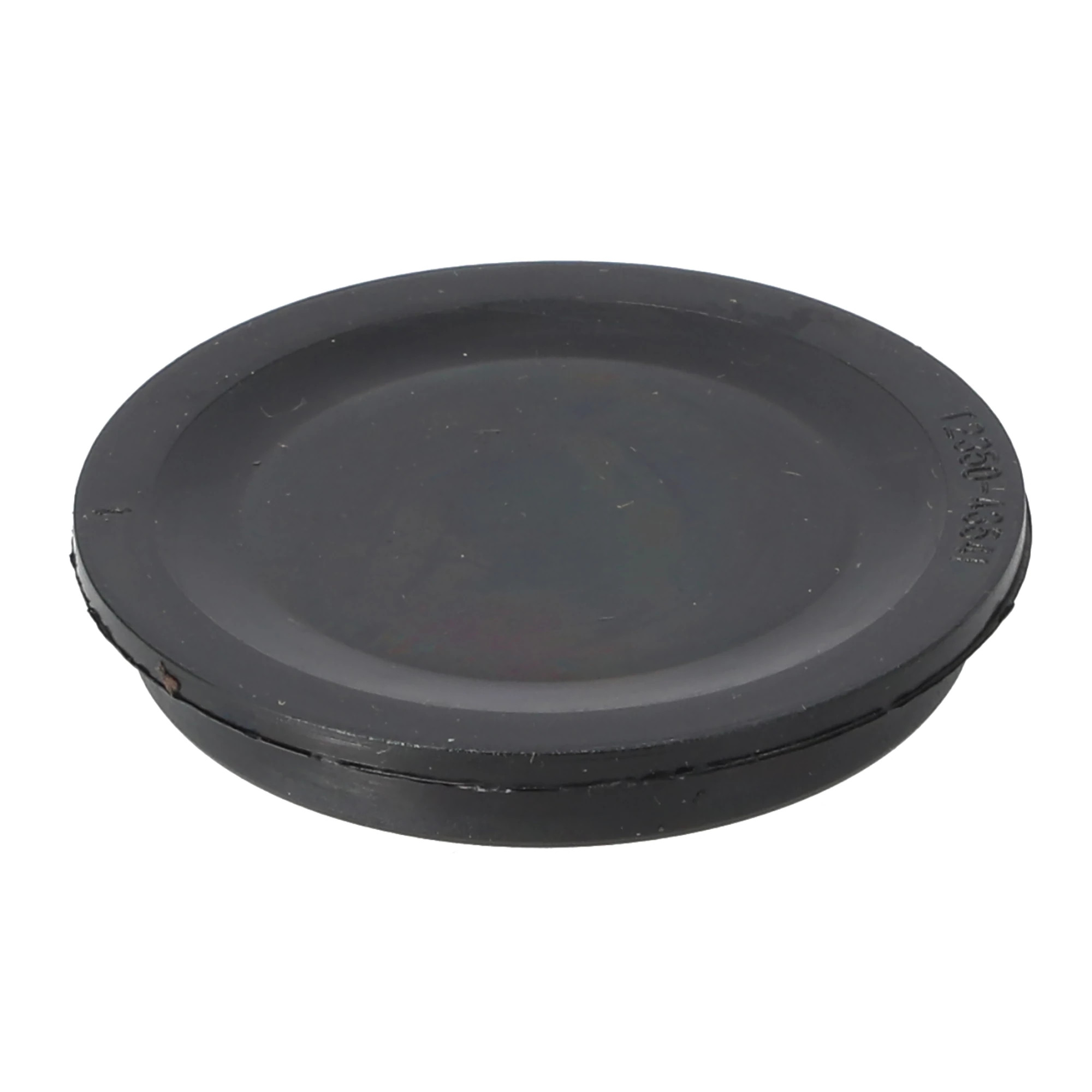 Dust Plug | CASEIH | US | EN