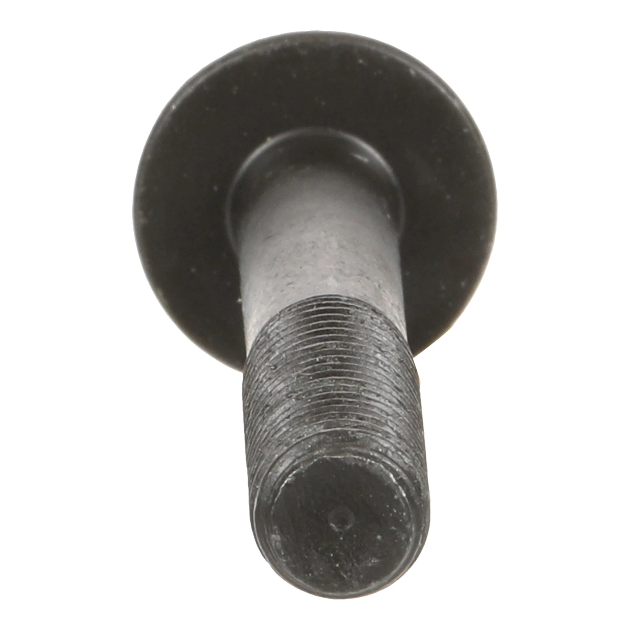 SCREW | MILLER | CA | EN