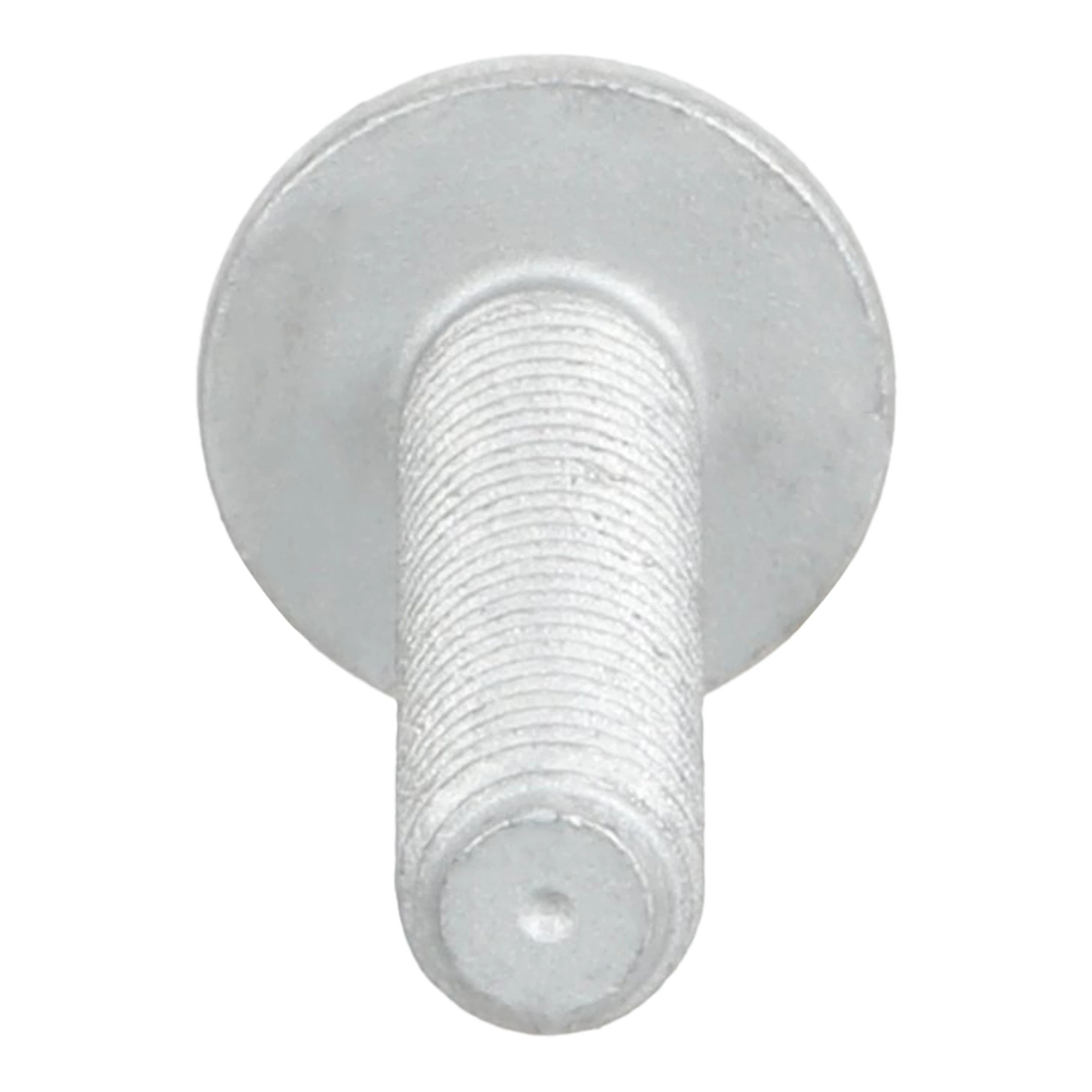 SCREW - 16586035