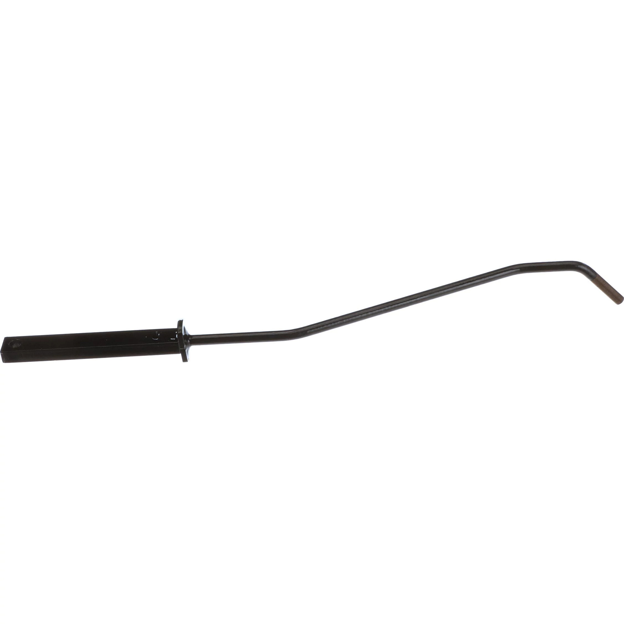 LINK | CASECE | US | EN