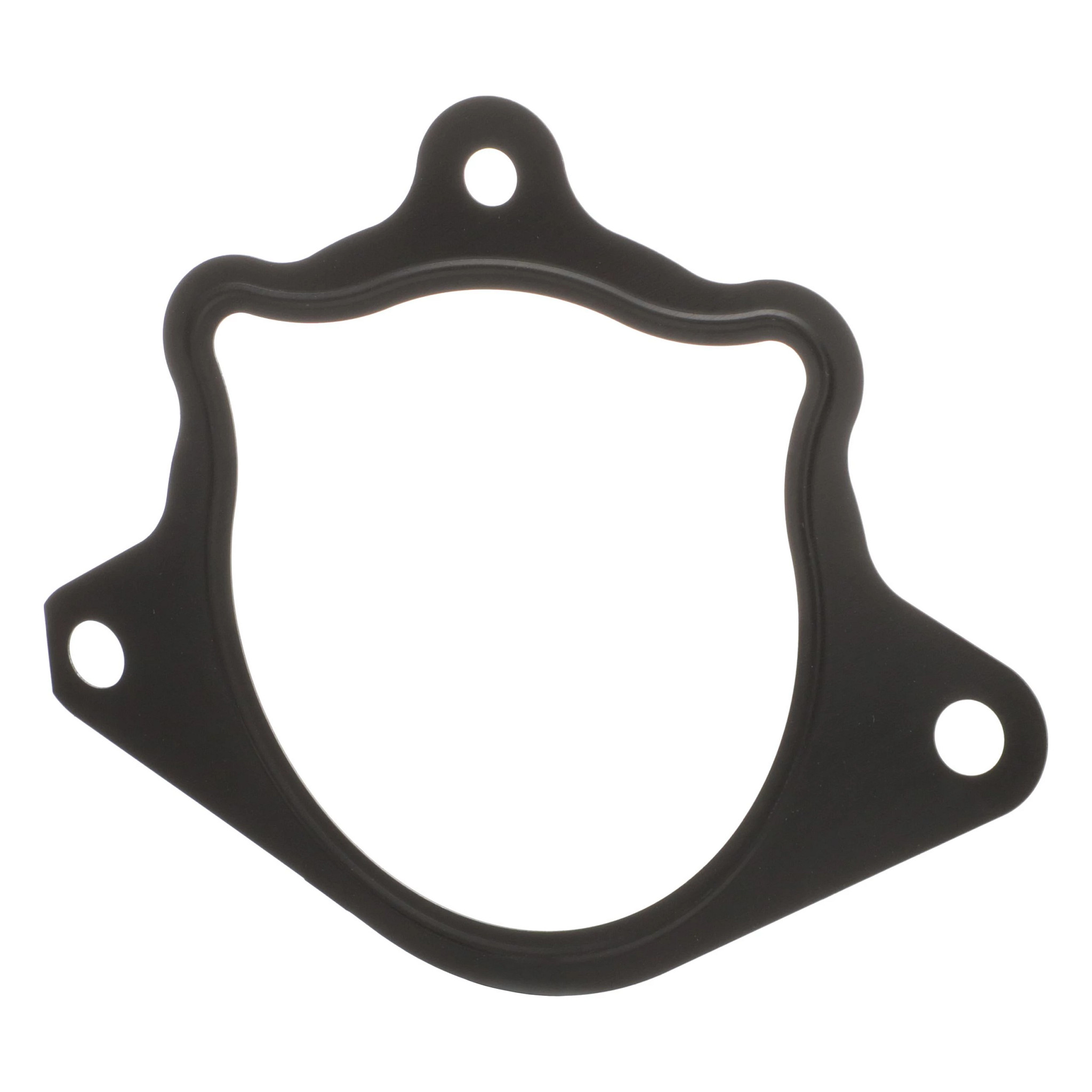 Pump Gasket | CASEIH | US | EN