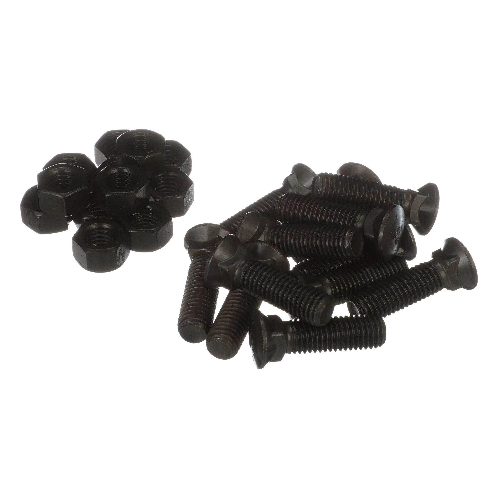 Plow Bolt | CASECE | US | EN