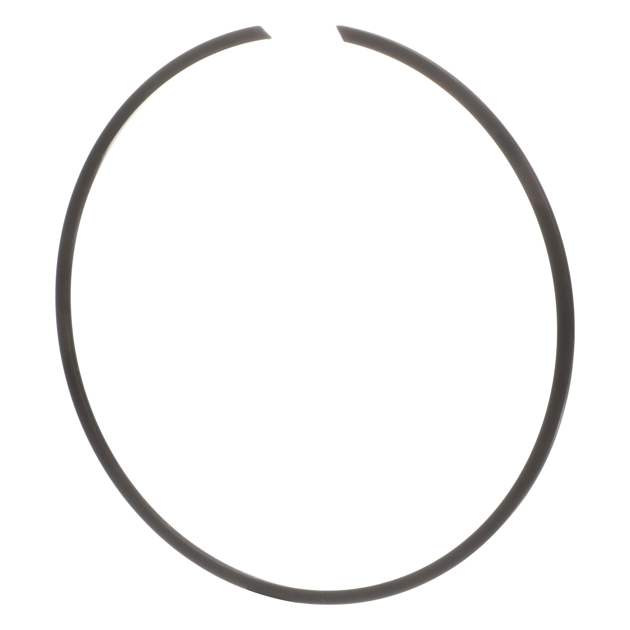 RING, LOCKING | CASECE | US | EN