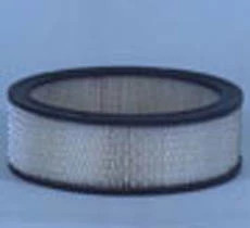 Fleetguard Air Filter | CASECE | US | EN