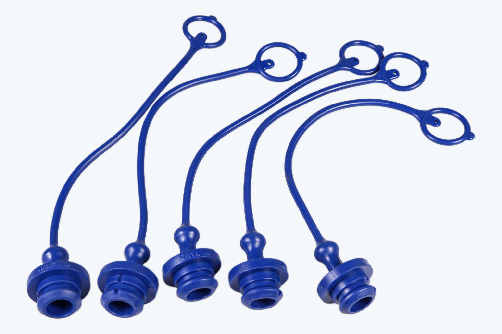 PLUG | CASECE | CA | EN