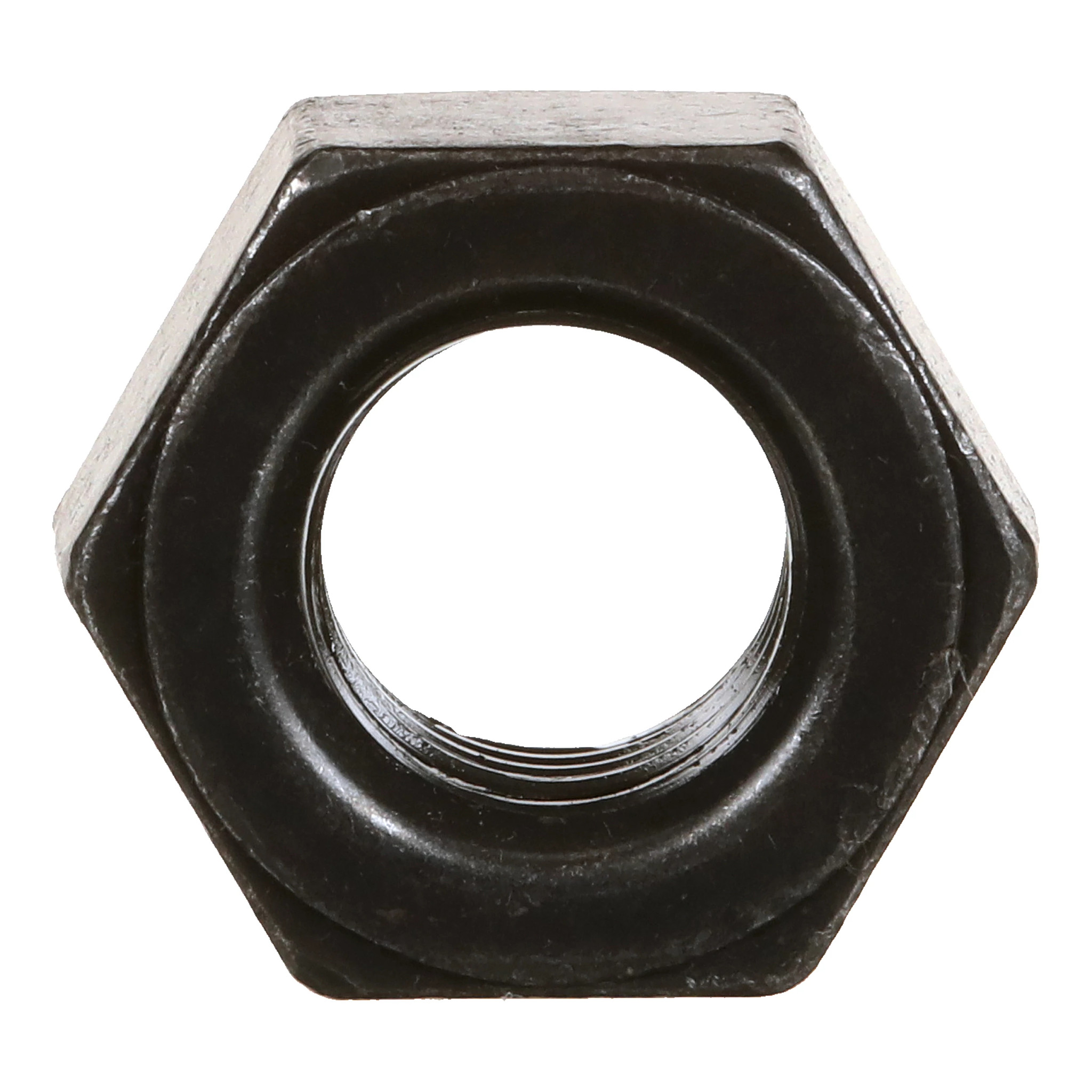 NUT | CASECE | US | EN