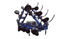DMI NUTRI-PLACR | CASEIH | CA | EN