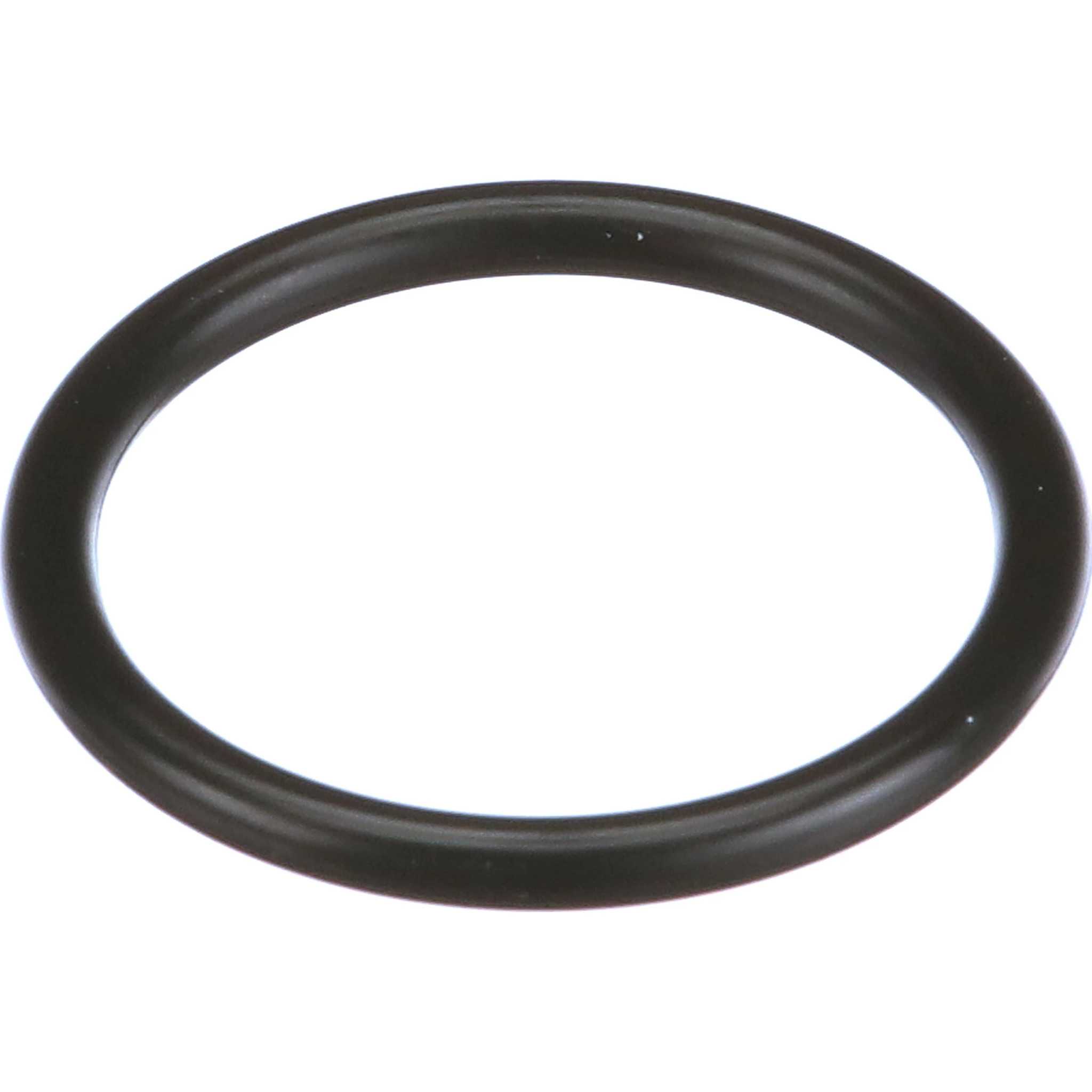 O-RING | CASECE | CA | EN