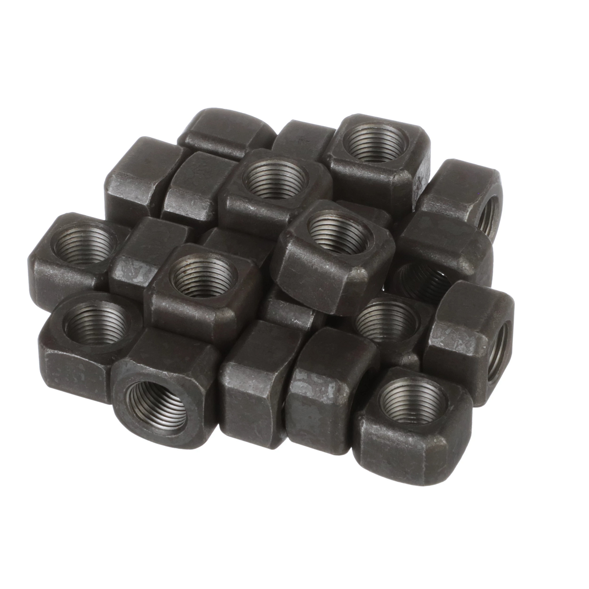 PORCA | CASECE | BR | PT