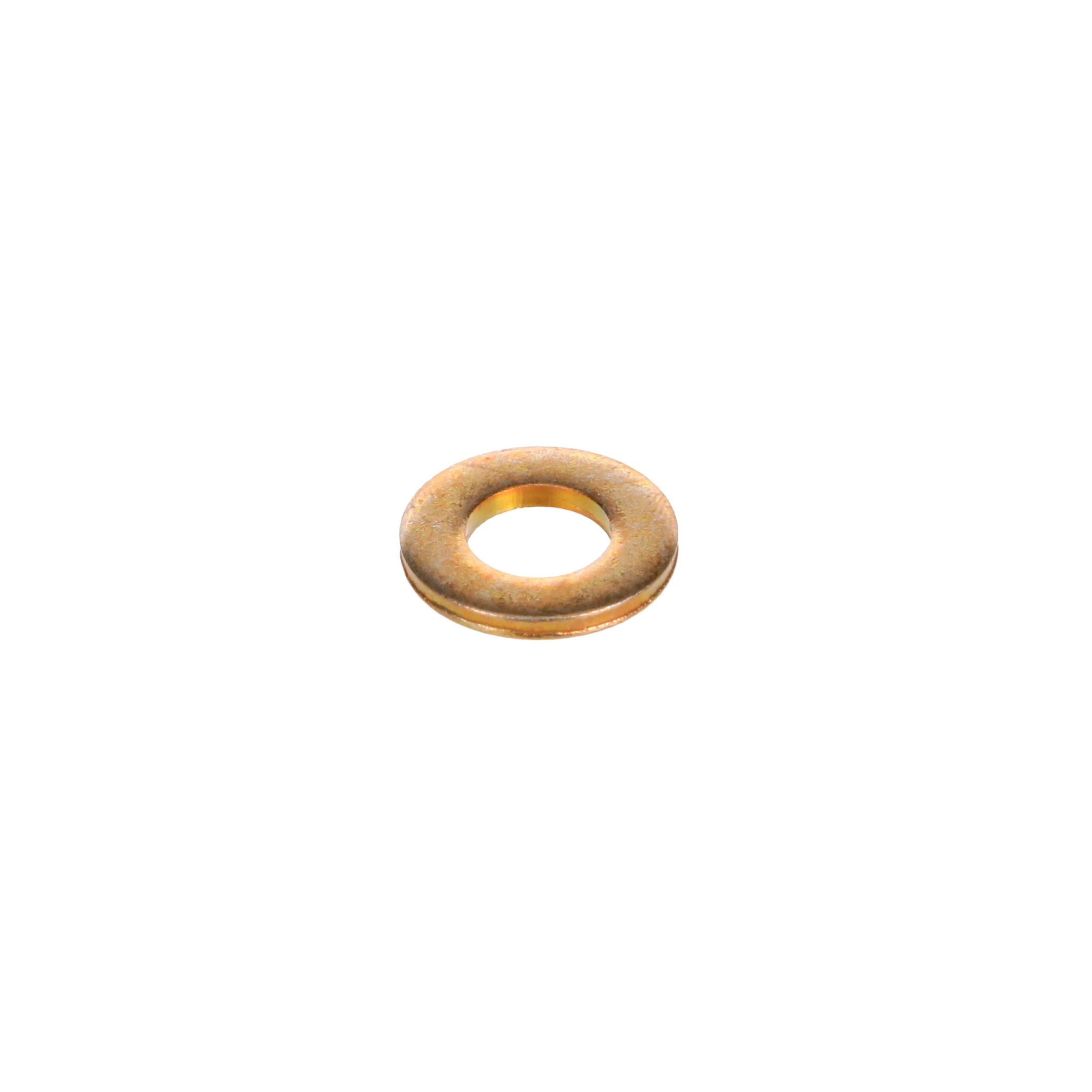 ARRUELA PLANA | CASECE | BR | PT