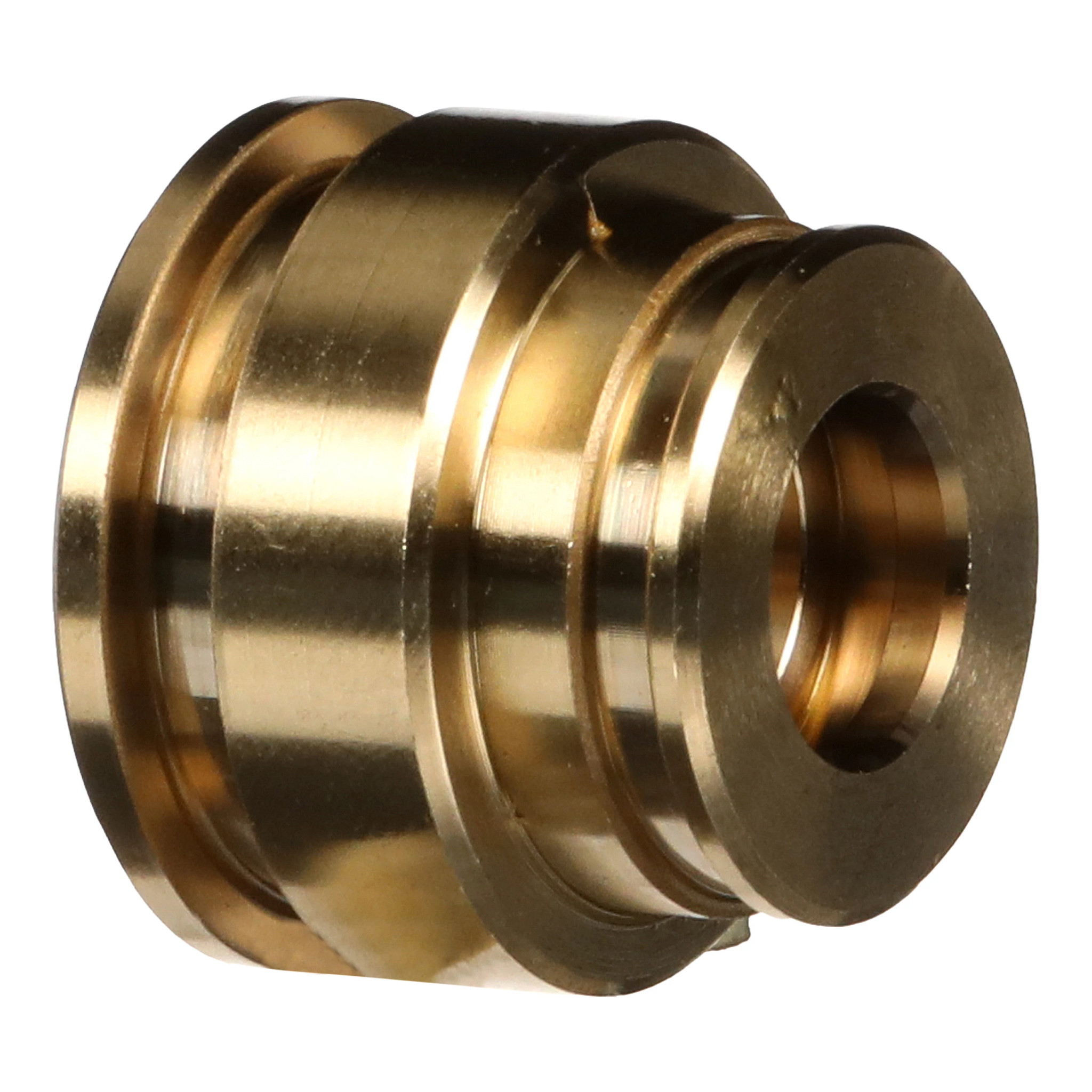 Plug | CASECE | CA | EN