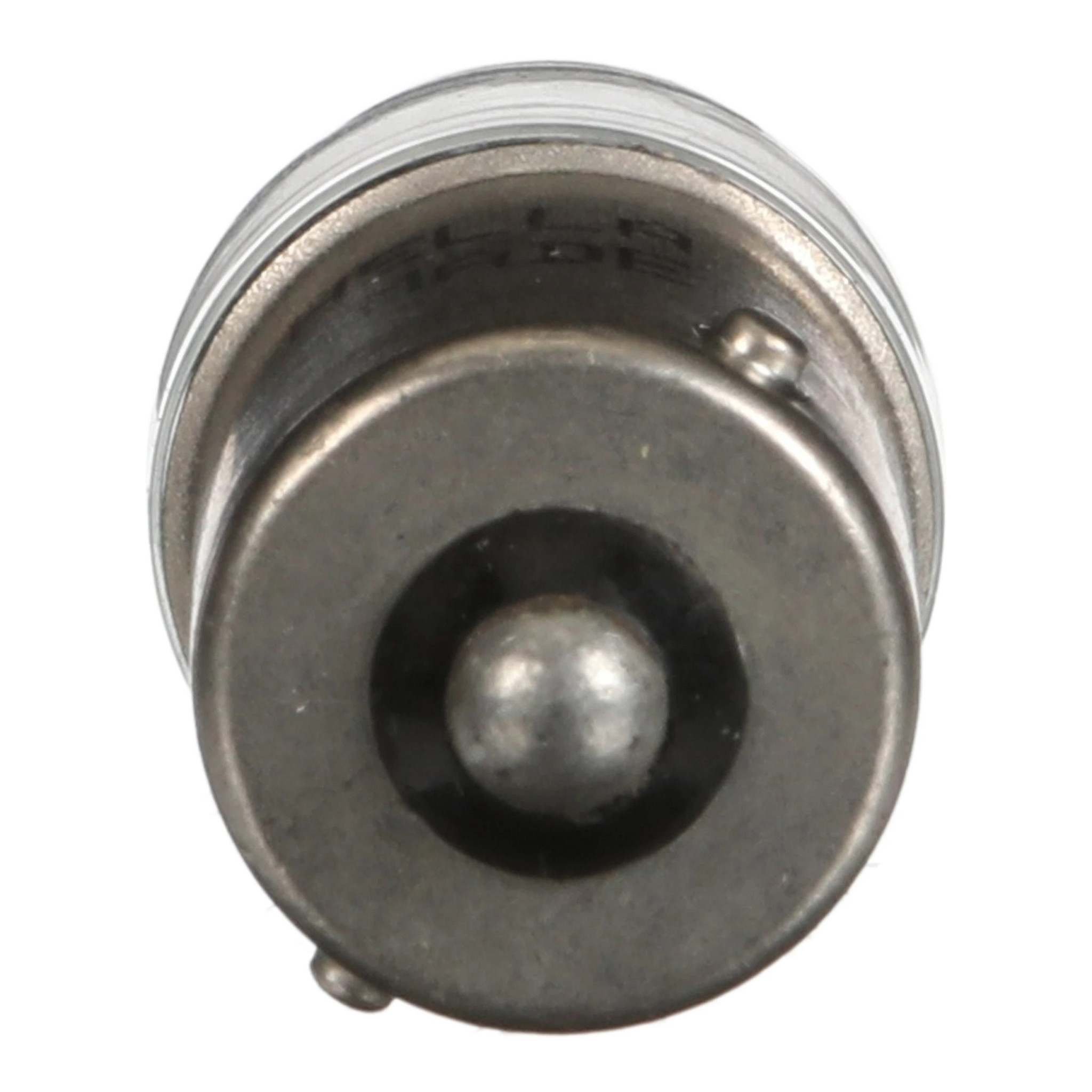 BULB | CASECE | CA | EN